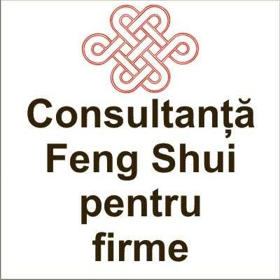 Consultanta Feng Shui pentru firme in afara orasului Brasov