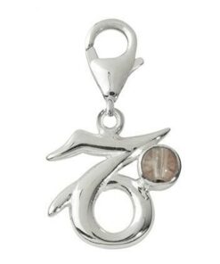 Pandantiv unisex din argint cu cristal de stanca - Capricorn Pandantiv unisex din argint cu cristal de stanca - Capricorn
