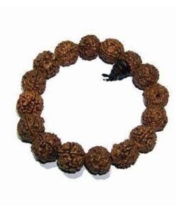 Bratara Mala din Rudraksha, pe elastic