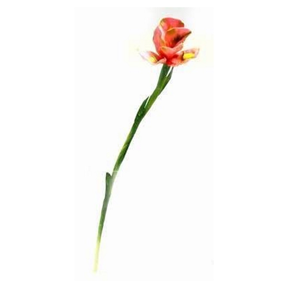 Floare de iris - 86 cm Floare de iris - 86 cm