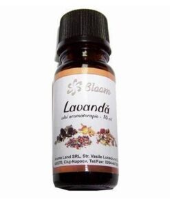 Ulei - Esenta pentru aromaterapie - Lavanda Ulei - Esenta pentru aromaterapie - Lavanda