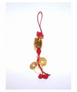 Canaf Feng Shui cu Vasul Bogatiei, monede si Nod Mistic Canaf Feng Shui cu Vasul Bogatiei, monede si Nod Mistic