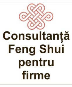 Consultanta Feng Shui pentru firme in Brasov Consultanta Feng Shui pentru firme in Brasov