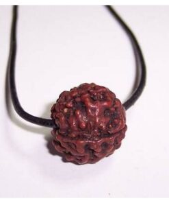 Pandantiv cu Rudraksha, pe siret negru - model deosebit