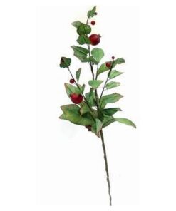 Crenguta cu fructe - rodii - 70 cm