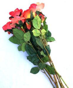 Trandafirul bucuriei si curajului - 64 cm - 9 fire Trandafirul bucuriei si curajului - 64 cm - 9 fire