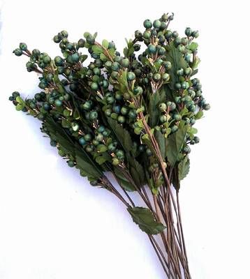 Floarea potentei buchet 15 fire Floarea potentei buchet 15 fire