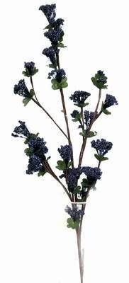 Floarea sanatatii - albastra