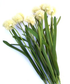Floarea norocului pentru femei - 57 cm - 11 fire
