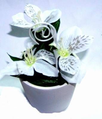 Ghiveci cu florile sanatatii - remediu Feng Shui- albe