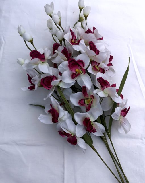 Orhideea dragostei si fericirii - 5 fire