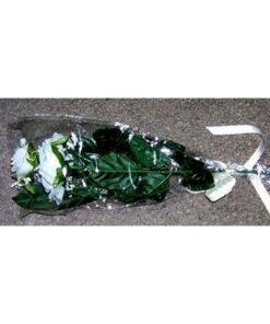Trandafirii sanatatii si puritatii - 1 fir cu 2 flori Trandafirii sanatatii si puritatii - 1 fir cu 2 flori