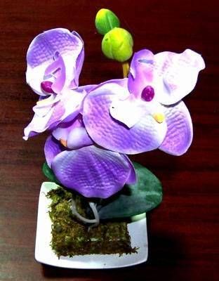 Orhideea fericirii si evolutiei spirituale