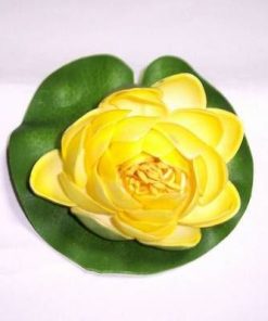 Lotus galben - remediu de protectie