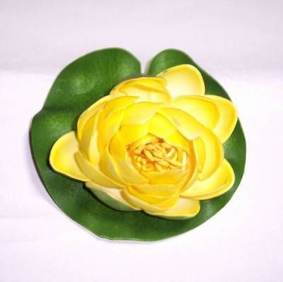 Lotus galben - remediu de protectie