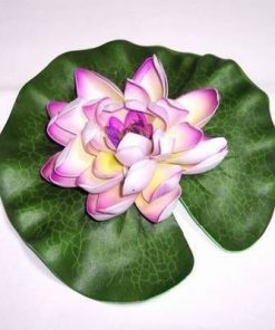 Lotus mov - remediu de echilibru si armonie
