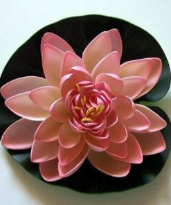 Lotus roz deschis - remediu de dragoste si sanatate