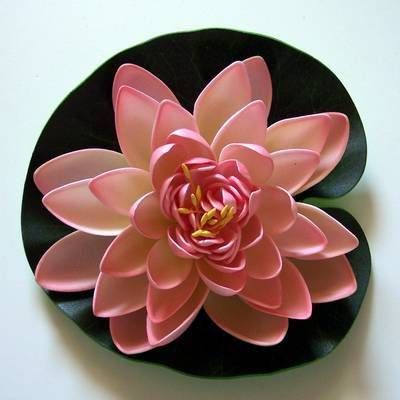 Lotus roz deschis - remediu de dragoste si sanatate