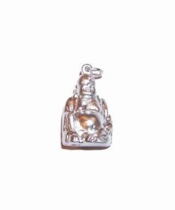 Talisman argintiu din metal cu Buddha Tamaduitorul